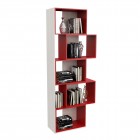 BIBLIOTECA JUVENIL 5 CUBOS