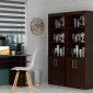 BIBLIOTECA CON ESTANTES Y PUERTAS